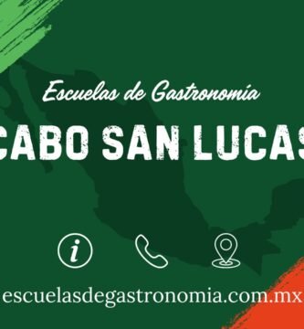 Escuelas de gastronomia cabo san lucas